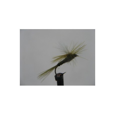 blue winged olive para dry