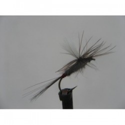 iron blue dun para dry