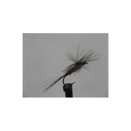 iron blue dun para dry