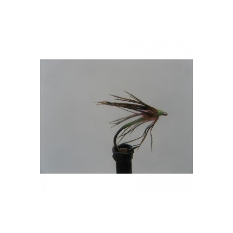 fl green orange brite thorax spider