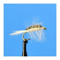 Crackle Back   White