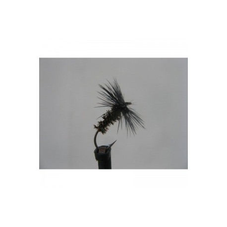 black and peacock spider dry