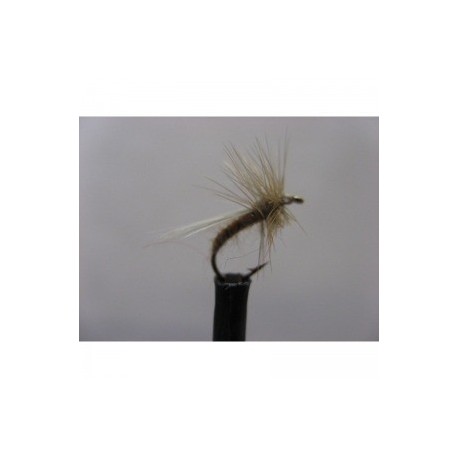 bobs bits ginger dry