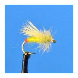 Yellow Sally With Red Butt