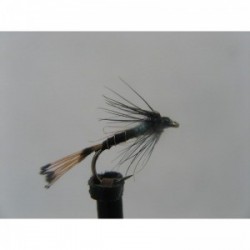 black pennel lite brite spider