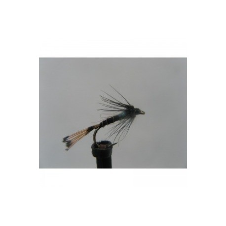 black pennel lite brite spider