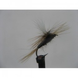 grey duster para dry