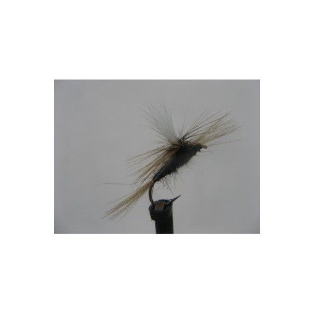 grey duster para dry