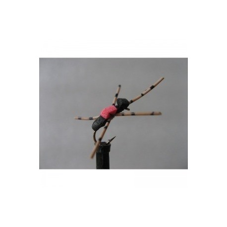 hi viz black ant foam