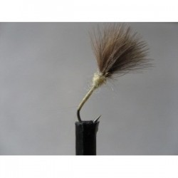 ians cdc caenis cream