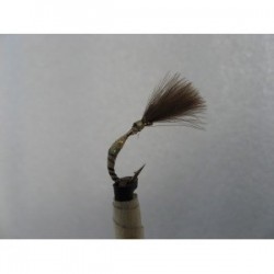 yellow owl shuttle buzzer cdc