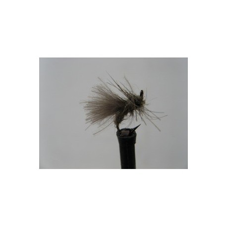 lapsleys hares ear cdc