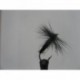 black spider dry