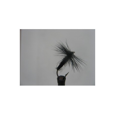 black spider dry