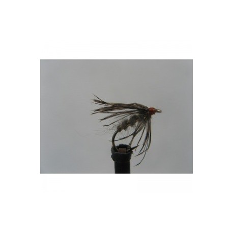 march brown spider