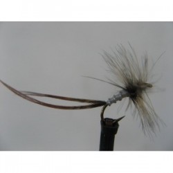 grey spent mayfly