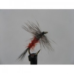 grey hen and rusty dry