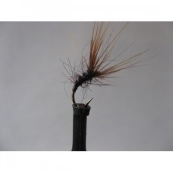 brown tenkara spider