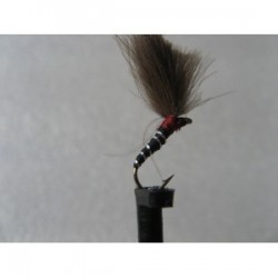 ians cdc shuttlecock emerger bird