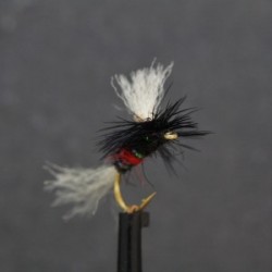 bibio shipmanspara dry