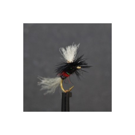 bibio shipmanspara dry