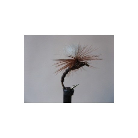 flexi brown klinkhammer