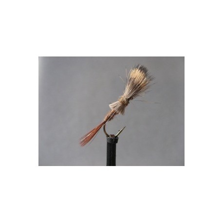 shaving brush sedge