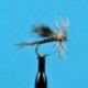 California Mosquito
