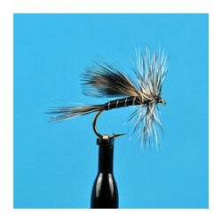 California Mosquito