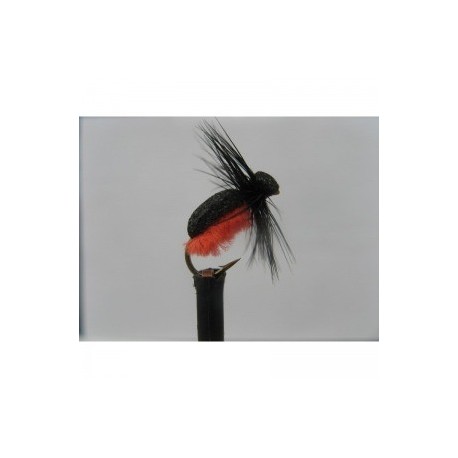 firebelly foam beetle