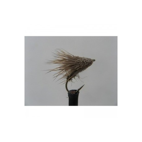 streaking caddis sedge