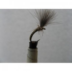 ians yellow owl cdc shuttlecock