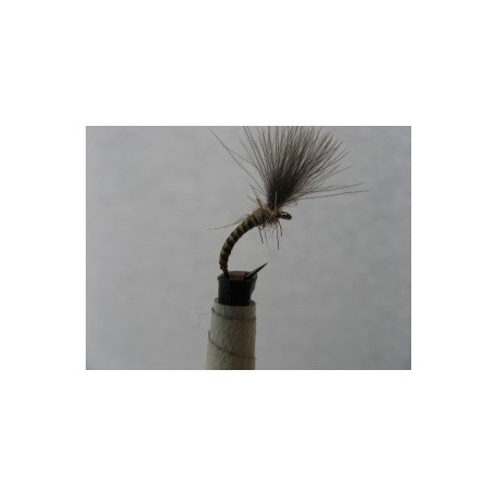 ians yellow owl cdc shuttlecock