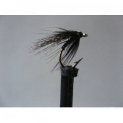 teal and black spider