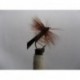 tape wing caddis brown sedge