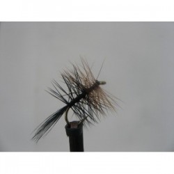 black and brown palmer dry