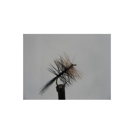 black and brown palmer dry