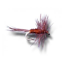 Midge Dry Brown