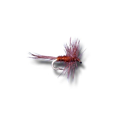 Midge Dry Brown