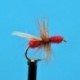 Red Flying Ant