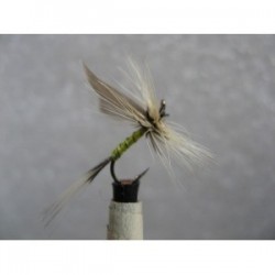 badger and yellow dry