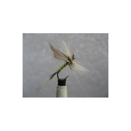 badger and yellow dry