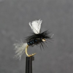 black shipmans para dry