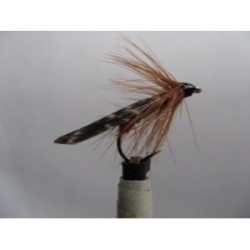 green peter red butt sedge