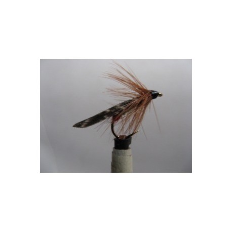 green peter red butt sedge