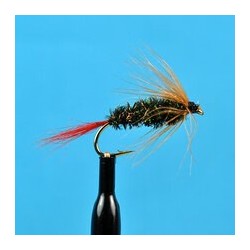 Brown Hackle Peacock