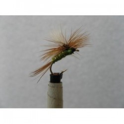 light olive para dry