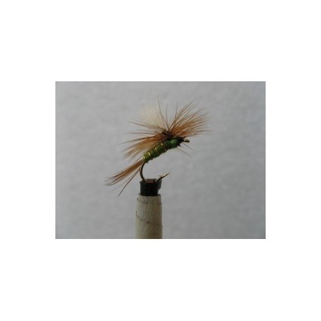 light olive para dry