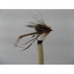 cdc detached drowning