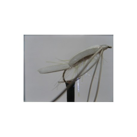 uv white floating fry